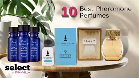 pheromone perfume dupe|best pheromones.